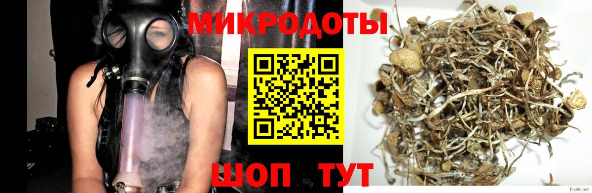 Псилоцибиновые грибы MAGIC MUSHROOMS  Вход с VPN  Печора 